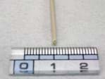 Show details for TUBING. PEEK. I.D.0.25*O.D.1.6 Picture of TUBING. PEEK. I.D.0.25*O.D.1.6